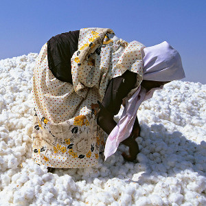Хлопок в древнем Судане и Нубии для комплекта полотенец Алматы